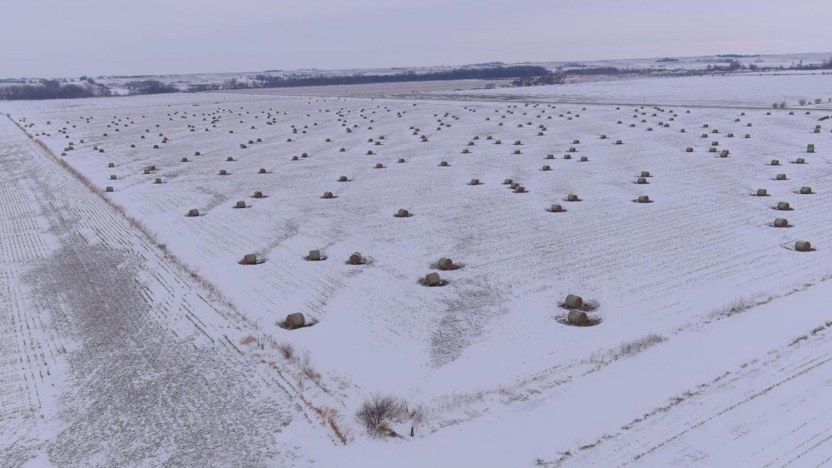 Land For Sale Smith Land Service